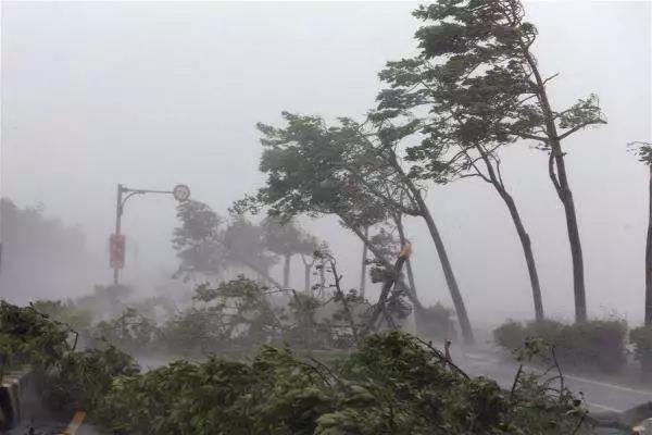 山竹肆掠： 臺(tái)風(fēng)天，光伏電站如何將損失降至最低